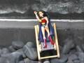Wonder Woman Vs The Evil My Little Pony