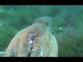 medes-islands-spain-part-3.html