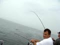 Walleyes with Mike