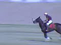 Polo Game at WestWorld of Scottsdale, Arizona