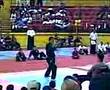 francisco arupon artes marciales aslkv figura con armas