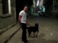 video roy