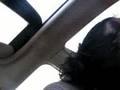 funny car rides