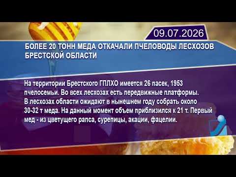 Новостная лента Телеканала Интекс 09.07.26.