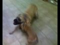 Video_120909_001.3g2