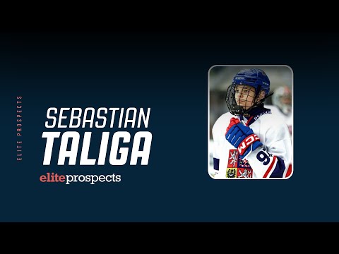 Sebastian Taliga Highlight Reel 24/25