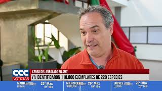 CENSO DEL ARBOLADO EN SMT