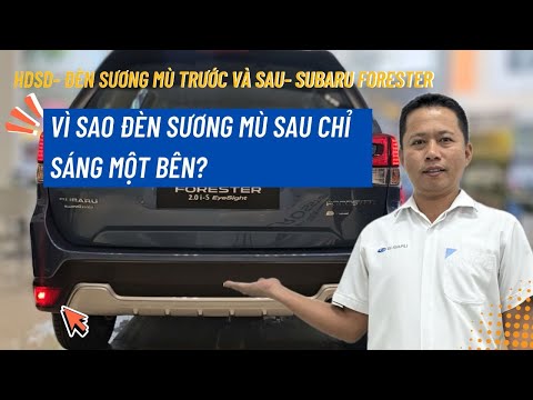 Cách Bật Tắt Đèn Sương Mù Trên Subaru Forester | Vì Sao Đèn Sương Mù Sau Chỉ Sáng 1 Bên?