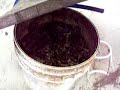 Biofertilizante