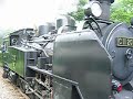 函館行きの下りの函館大沼号を牽引するC11 207号機。Japanese Steam Loco C11 207 pulls the Hakodate Onuma train towards Hakodate at Nagareyama-onsen station