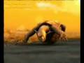 videos de tortuga borracha