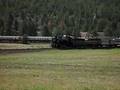 Grand Canyon Railroad