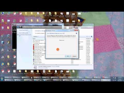 how to enable telnet on a windows 2008 server