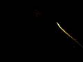 videos de diwaliotsava in 44 th cross 1