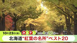 みんテレ