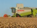 Lexion 480 Lexion 480