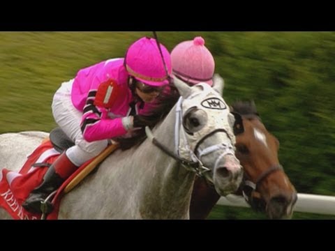 jockey -