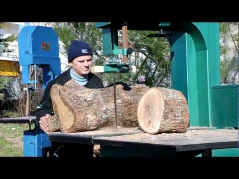 19 ΚΟΠΗ ΚΑΥΣΟΞΥΛΩΝ ΣΕ ΠΡΙΟΝΟΚΟΡΔΕΛΑ Ν. ΟΡΕΣΤΙΑΔΑ ΕΒΡΟΣ