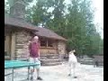 crazy ping pong