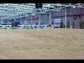 Associate Silversand Instructor David Mellor Riding at Bendigo Horse Expo 2009 How to develop impulsion with your horse