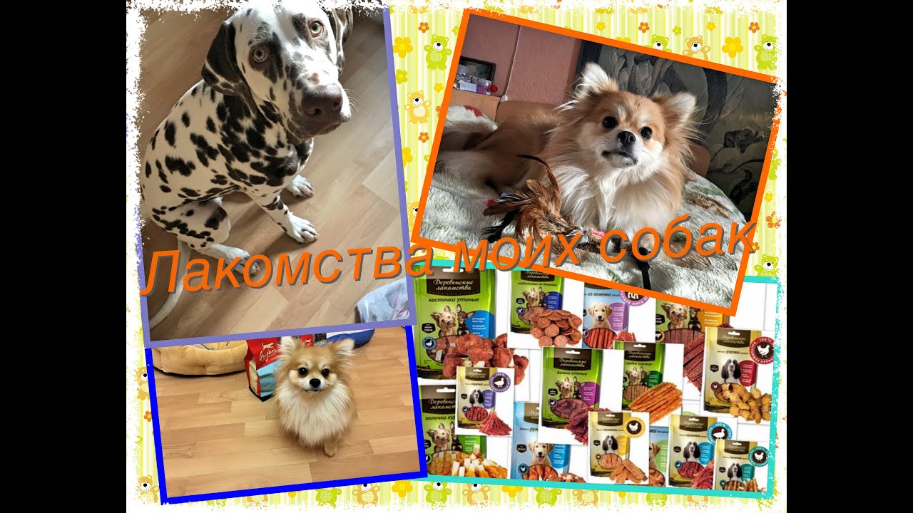 Лакомства моих собак