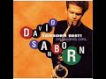 David Sanborn - Dreaming Girl