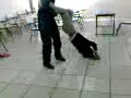bueltas a alfredo en la uni mesoamericana criminalistica 1b