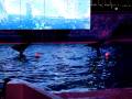 videos de Chistmas Show- Silent night