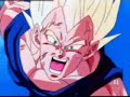 Tributo a Vegeta e Vegetto