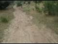 Cuatris Parte 1