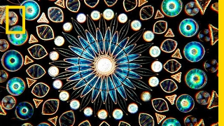 Water is Life - Life's pattern is a Mandala