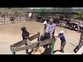 چگونه سوار شتر مرغ بشویم؟ funny video