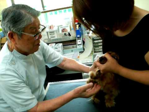 注射