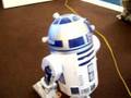 Toy Artoo Deeto disturbs Cat