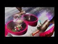 Pikmin 2 bonuses