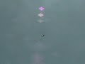 CarterCopter flight test - and crash CarterCopter flight test - and crash
