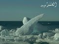 Surah Hujorat And Qaaf (Part 1): Shaikh Sayyid Sa\ Surah Hujorat And Qaaf (Part 1): Shaikh Sayyid Sa\