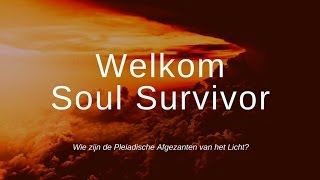 Wie zijn de Pleiadische Afgezanten van het Licht?