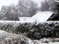 sneeuwlandschap vanuit trein.mp4