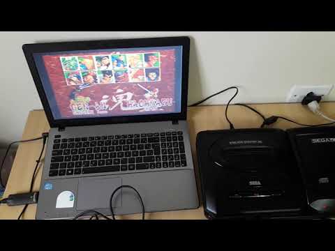 動画