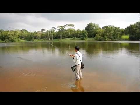 how to snap t spey cast