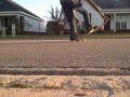 lorenzo gines skateboarding