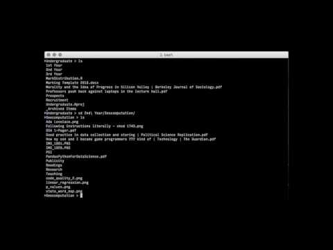 The Path (Terminal Version)