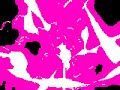 Thumbnail #2