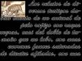 Criptozoología: Bestia de Gévaudan