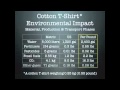 The Environmental Impact of Textiles