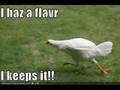 Lolcats episode 5 - dude wheres my Lolcat?