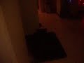 008.AVI