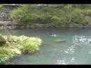 ??????20080316 ??????20080316
