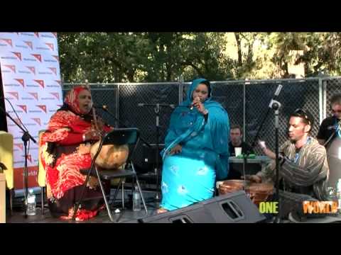 Gender Equality - Dimi Mint Abba